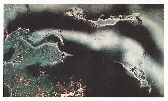 第三世多杰羌佛工巧明展显之 西画 第3张