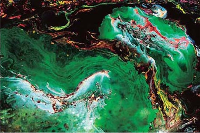 第三世多杰羌佛工巧明展显之 西画 第6张