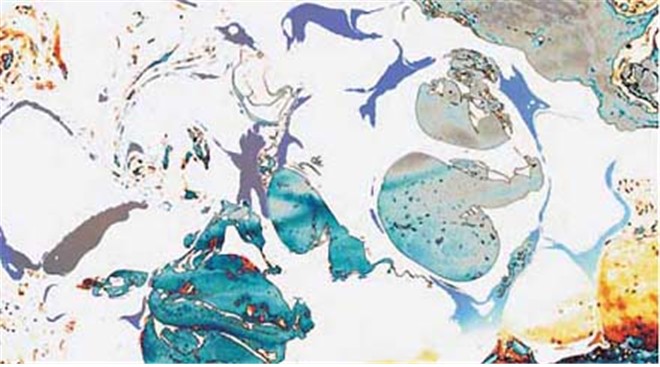 第三世多杰羌佛工巧明展显之 西画 第8张