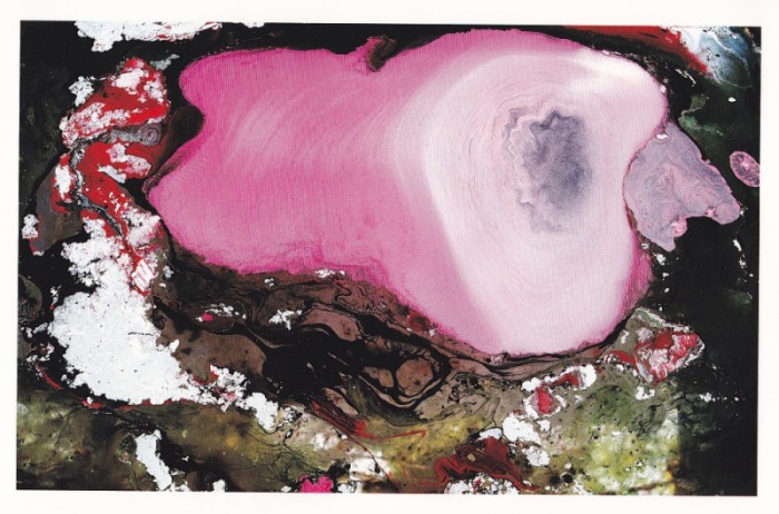 第三世多杰羌佛工巧明展显之 西画 第10张