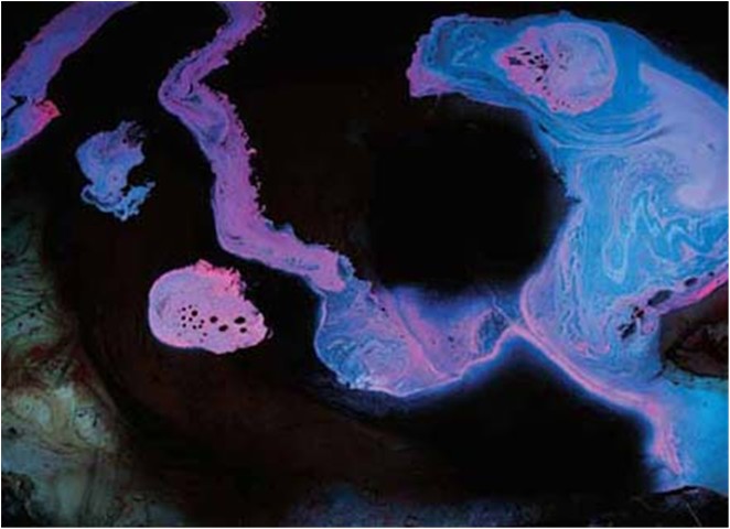 第三世多杰羌佛工巧明展显之 西画 第9张