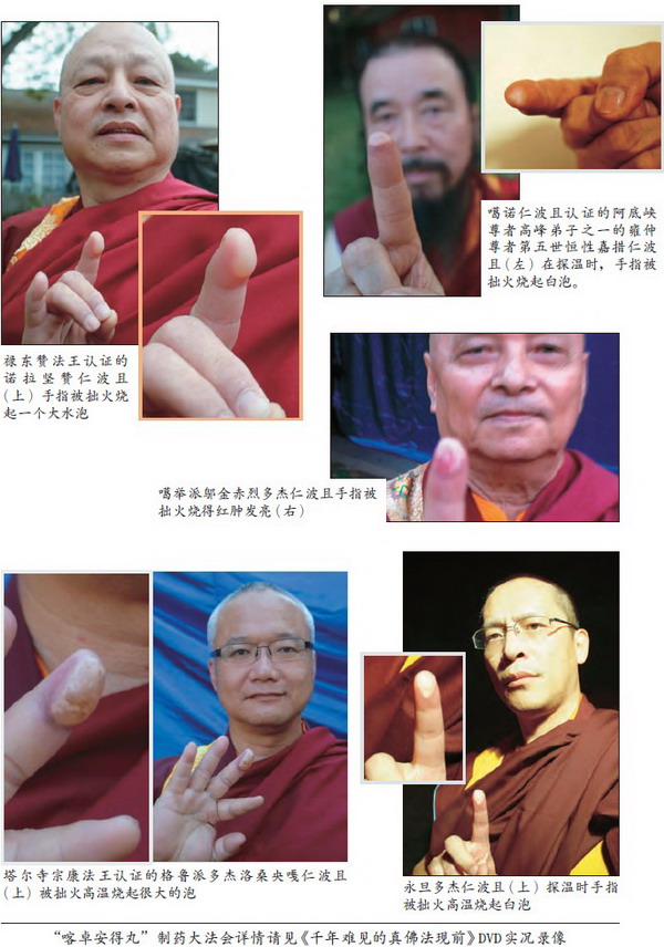 莫知仁波且修摊尸拙火定制炼胜义“喀卓安得丸”图片 第9张 莫知仁波且修摊尸拙火定制炼胜义“喀卓安得丸” 第9张