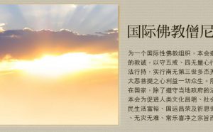国际佛教僧尼总会简介