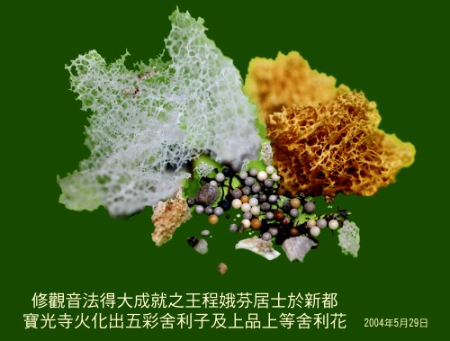 王程娥芬居士及丈夫王灵泽居士学到真正的佛法得大成就 第5张