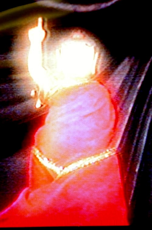 王程娥芬居士及丈夫王灵泽居士学到真正的佛法得大成就 第2张