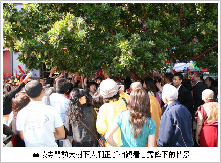 第三世多杰羌佛圣迹 看到圣树降下甘露图片 第3张 第三世多杰羌佛圣迹 看到圣树降下甘露 第3张