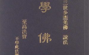 南无第三世多杰羌佛说法 《学佛》