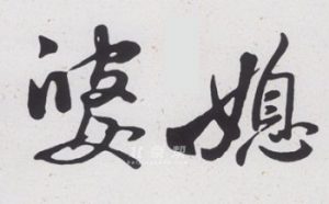当尽孝的媳妇遇到固执洁癖的婆婆，会是什么结局？