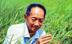 珍惜每一粒米，是对袁老最好的致敬